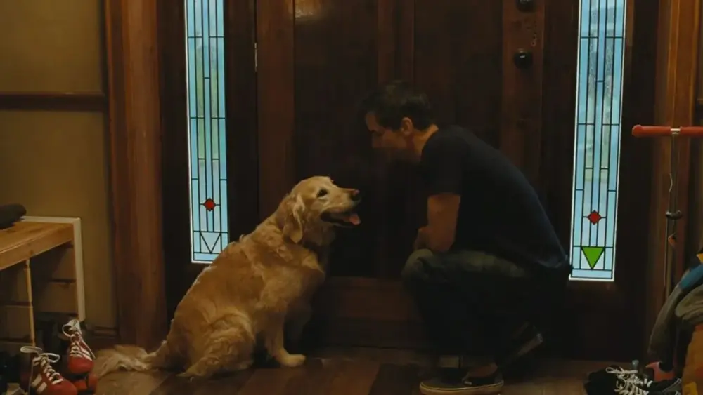 A Última Casa: cachorro morre no filme da Netflix?