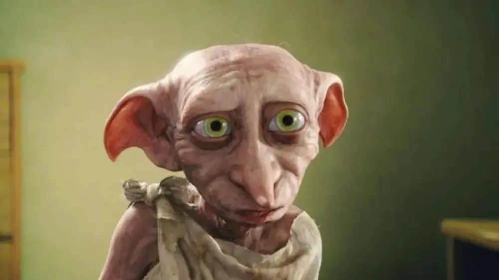 Fãs de Harry Potter mudam rota de obra para proteger túmulo de Dobby